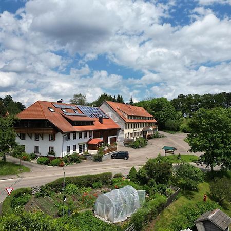 Apartament Haus Schlageter Dachsberg im Schwarzwald Zewnętrze zdjęcie