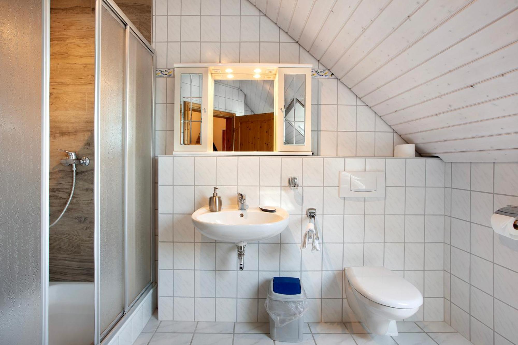 Apartament Haus Schlageter Dachsberg im Schwarzwald Zewnętrze zdjęcie