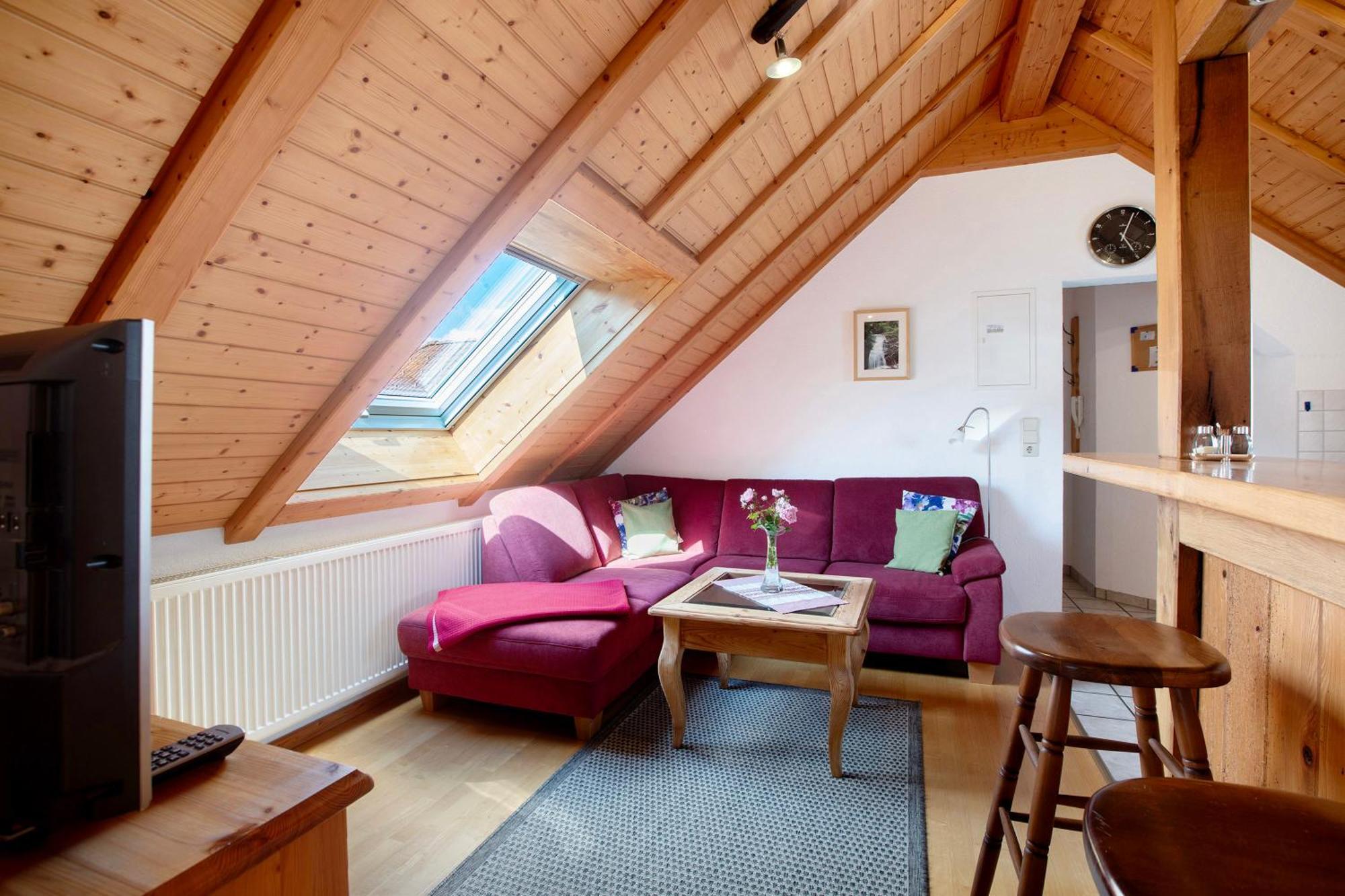 Apartament Haus Schlageter Dachsberg im Schwarzwald Zewnętrze zdjęcie