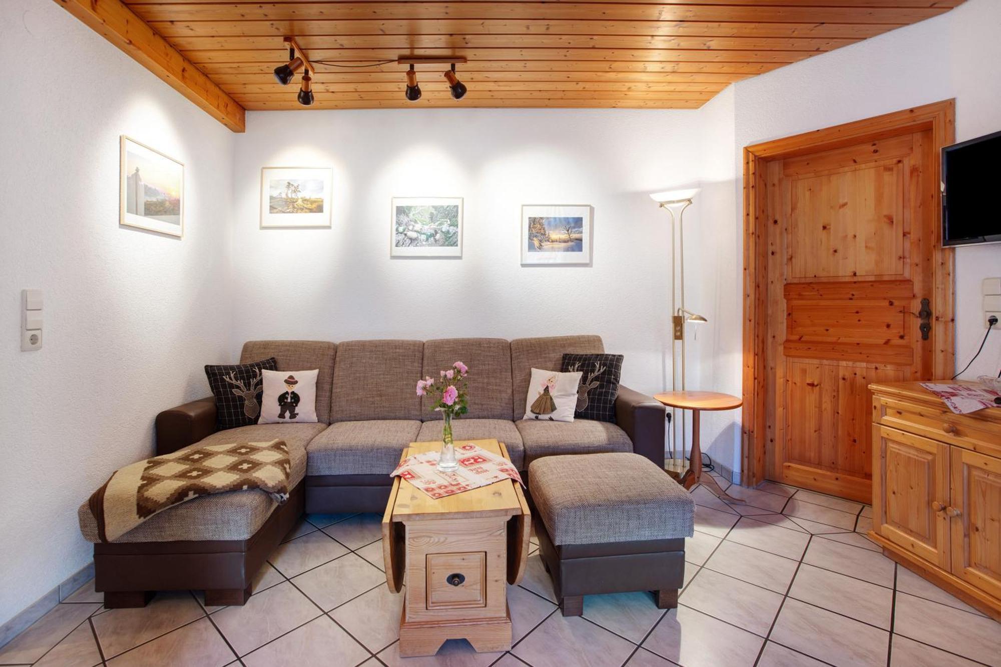 Apartament Haus Schlageter Dachsberg im Schwarzwald Zewnętrze zdjęcie
