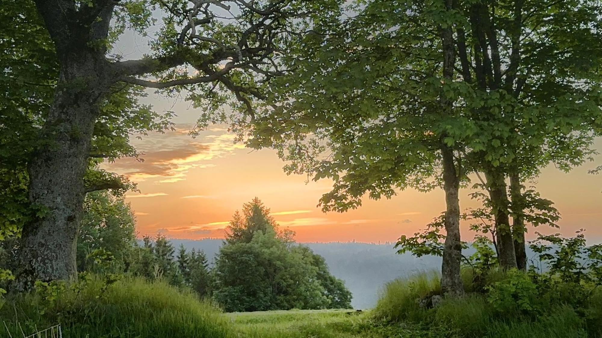 Apartament Haus Schlageter Dachsberg im Schwarzwald Zewnętrze zdjęcie