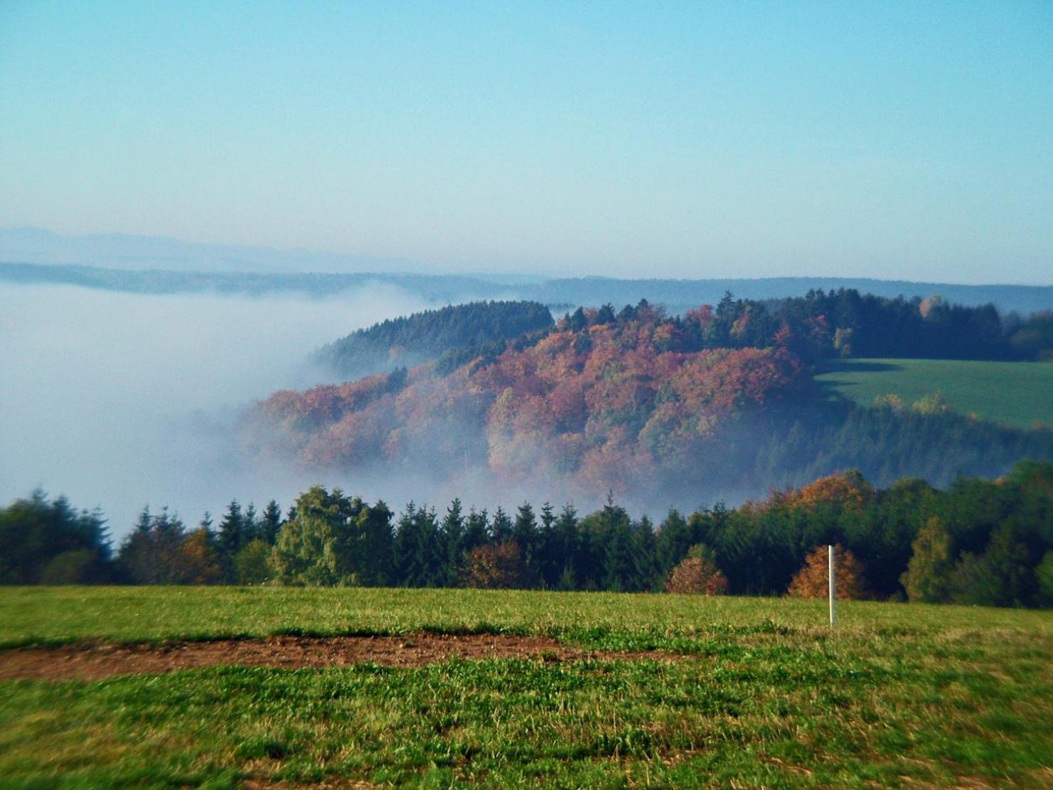 Apartament Haus Schlageter Dachsberg im Schwarzwald Zewnętrze zdjęcie