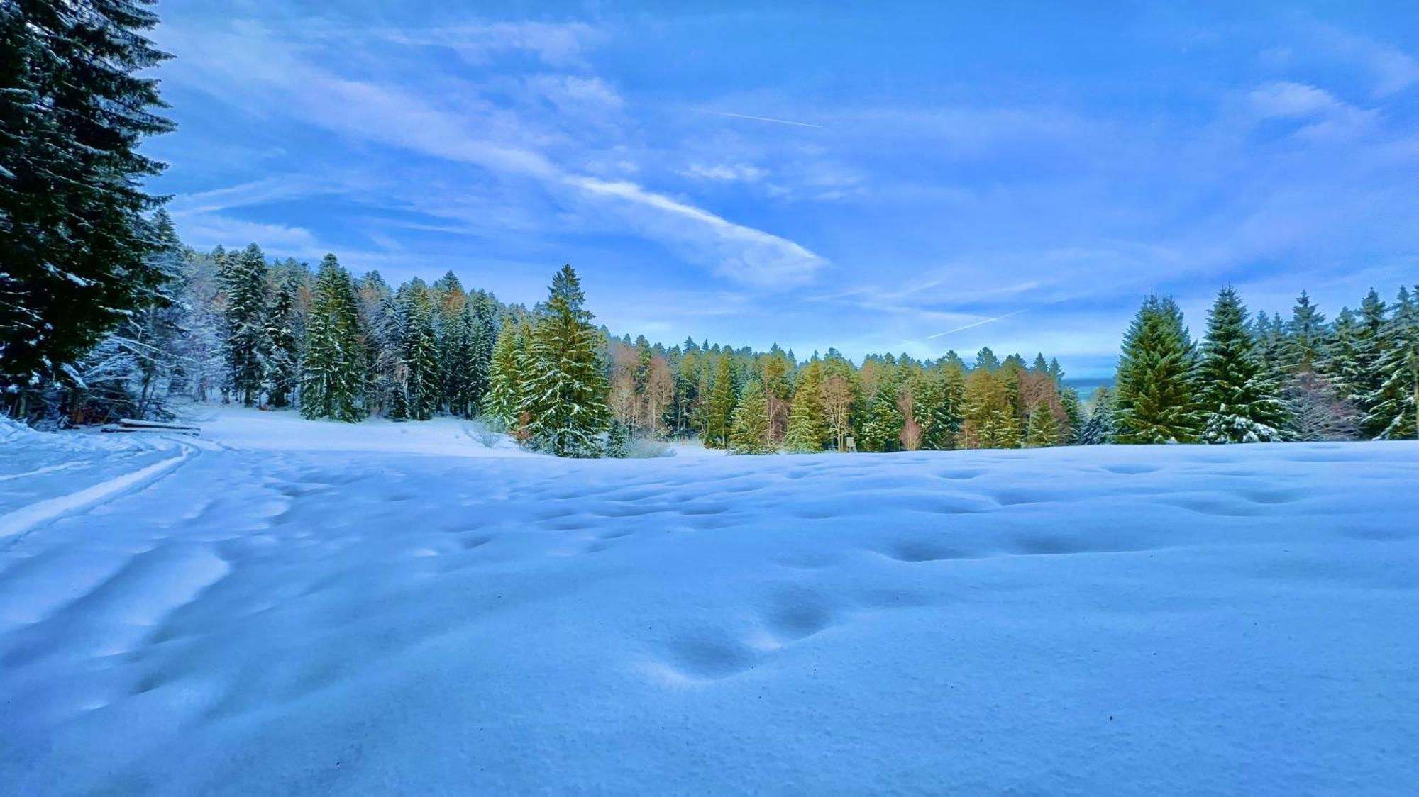 Apartament Haus Schlageter Dachsberg im Schwarzwald Zewnętrze zdjęcie