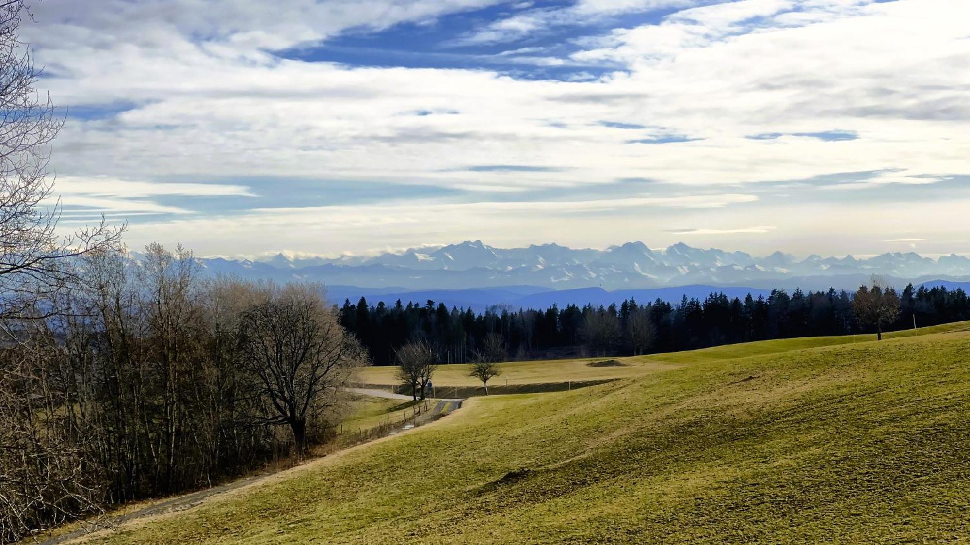 Apartament Haus Schlageter Dachsberg im Schwarzwald Zewnętrze zdjęcie