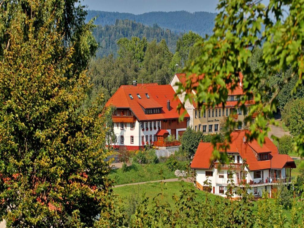 Apartament Haus Schlageter Dachsberg im Schwarzwald Zewnętrze zdjęcie